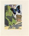 SALVADOR DALÍ Collection of 20 color woodcuts, 1 engaving and 8 original nebiollo plates from Le Tricorne.